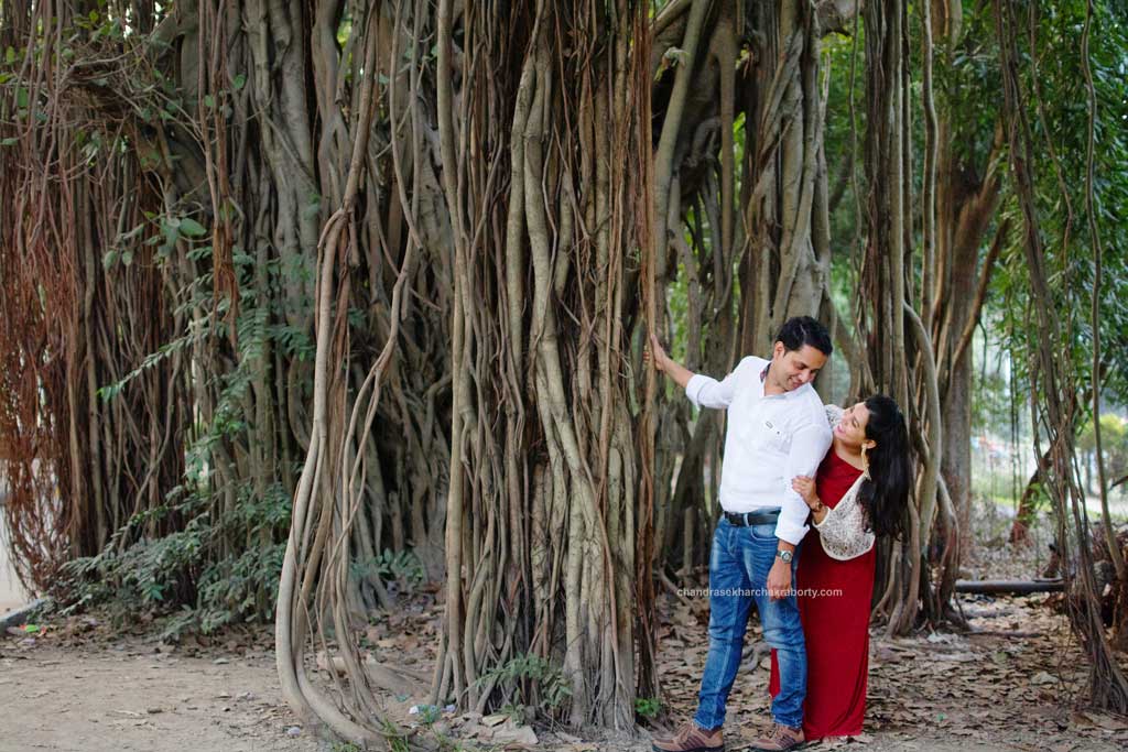 pre wedding photoshoot with banian tree